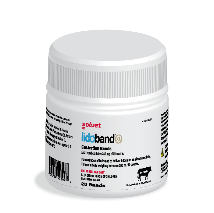 Lidoband XL